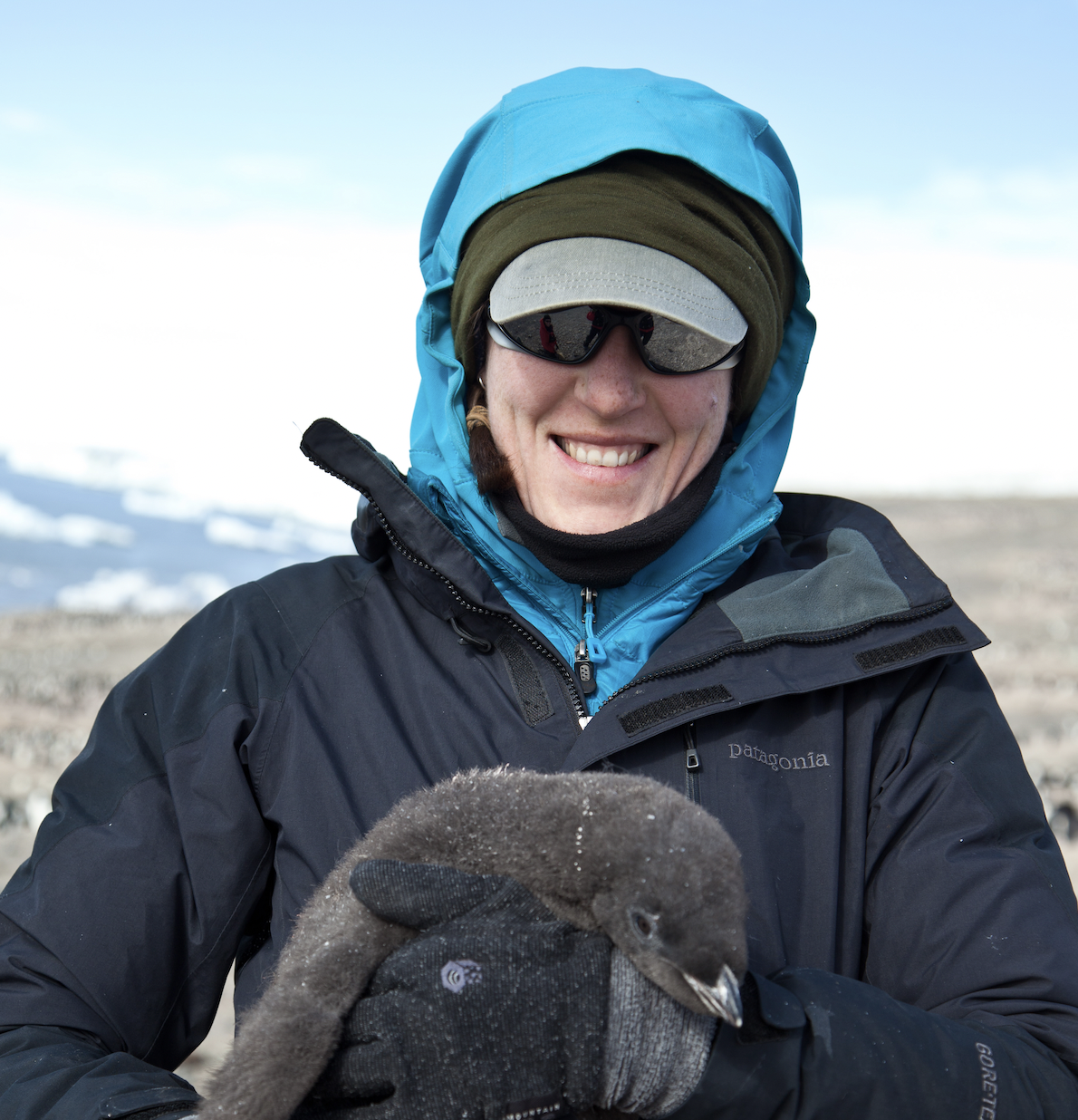 Annie Schmidt wearing a hat and blue hooded jackets and sunglasses, while holding a penguin chick in front of a blurred background scene of gray land