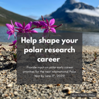 early career call for input into International Polar Year discussions - text on top of image of fireweed in the Arctic