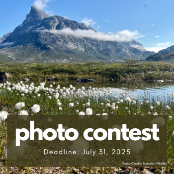 PSECCO Photo Contest