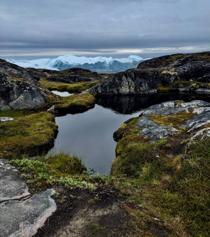 A rocky outcrop covered in moss and grasses surrounds a small, still pond as enormous icebergs loom in the background under a grey sky.