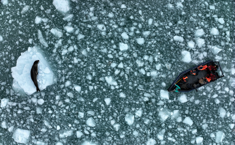 The image captures a critical moment from our expedition. After hours of patrolling the freezing waters looking for animals, the team came across a female leopard seal resting on an iceberg. We were focused, pressured—piloting a drone, collecting data, and preparing to take a sample—but she was undisturbed, basking in the icy stillness. The contrast was clear: We were working hard, while she was hardly working.