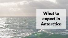 the text 'what to expect in Antarctica' overlain on top of an image of the southern ocean juxtaposed next to a cloudy sky